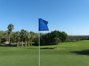 FLAGS BACK TO  THE GREENS END HOLLOW TINING CAMPOAMOR 2021